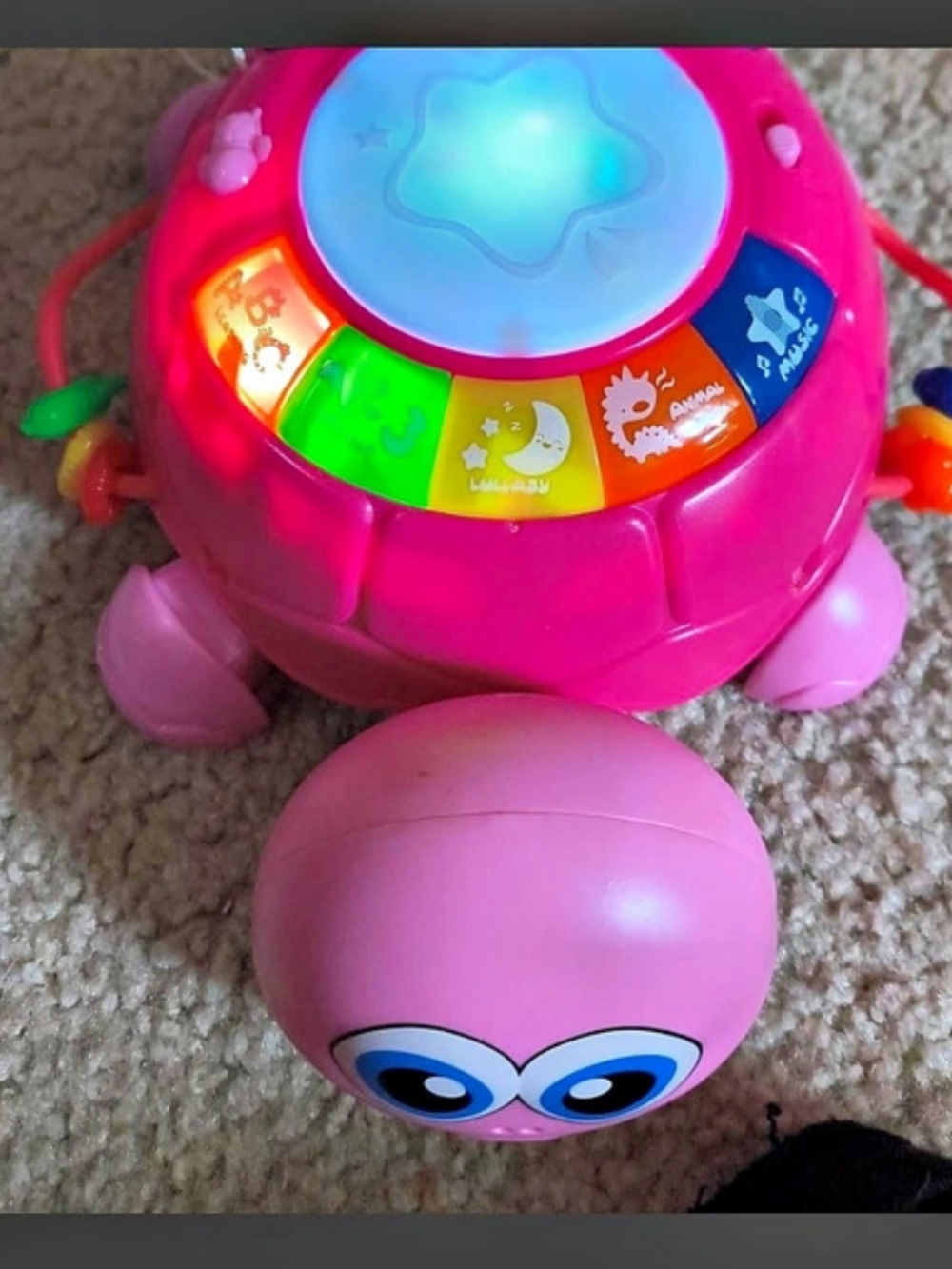 LeapFrog Melody the Musical Turtle Pink & Blue Learning Toy